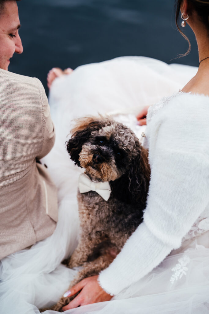 dog in a bowtie sitting on a bride's dress next to Lake Windermere